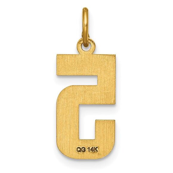 14K Yellow Gold, Varsity Collection, Medium D/C Pendant Number 5 - Picture 3 of 5